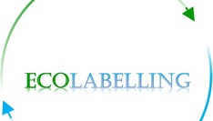 The graphic shows the logo of the Ecolabelling project: in the middle there is an inscription “Ecolabelling” and around it on the circumference of the circle are two arrows - green and blue.
